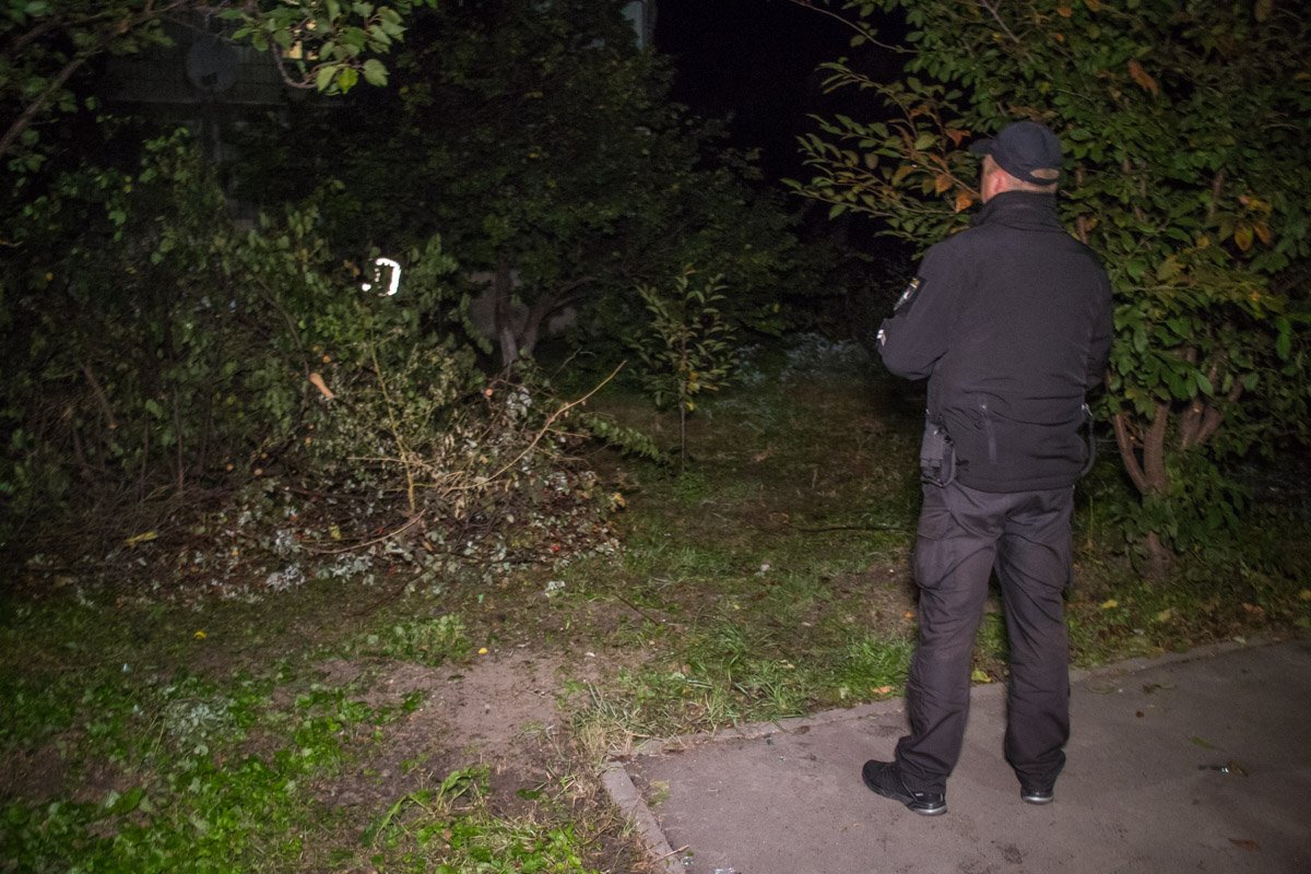 Подробности происшествия устанавливаются