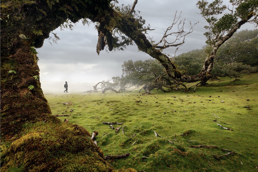 Победитель в номинации "Пейзаж". Автор: @razvancasian Победитель в номинации "Пейзаж". Автор: @razvancasian