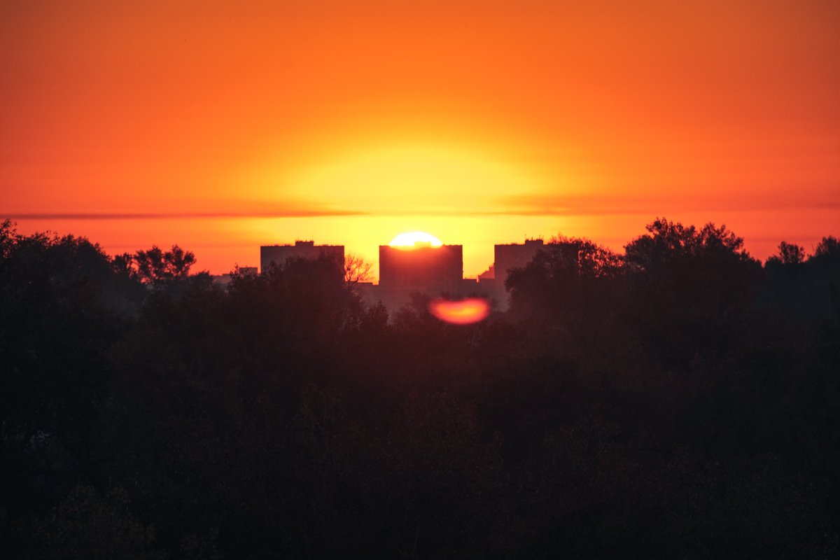 Блики солнца за пеленой холодного утра