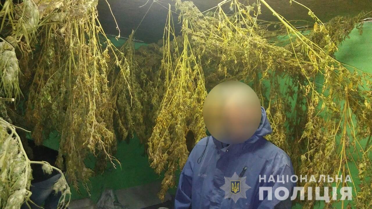 Житель Черкасской области хранил на своем участке 60 килограмм конопли