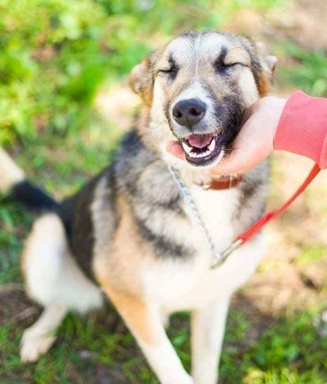 Ласковая Джесси ждет вас! Ласковая Джесси ждет вас!