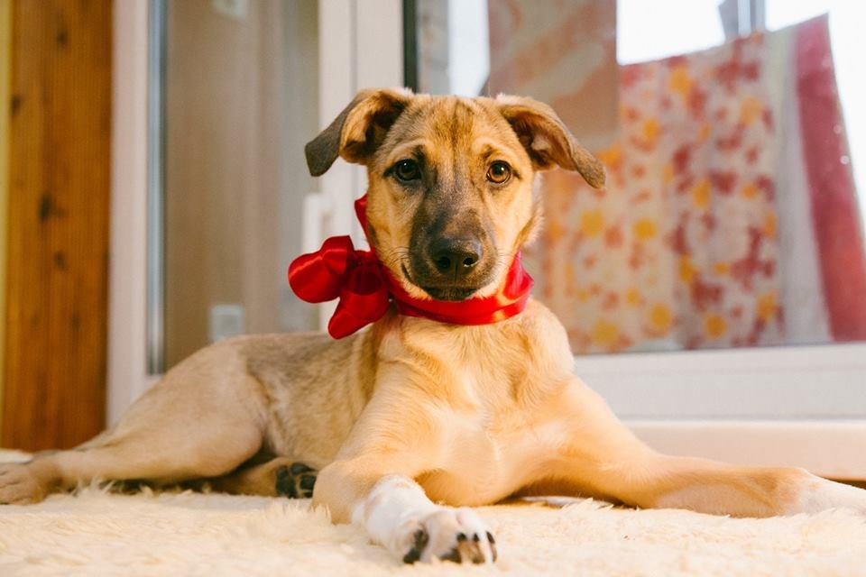 В глазках Джессики - боль одиночества. Сделайте ее счастливой! В глазках Джессики - боль одиночества. Сделайте ее счастливой!