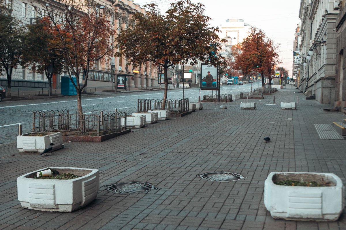 Открываем глазки и ищем на фотографии голубя Открываем глазки и ищем на фотографии голубя