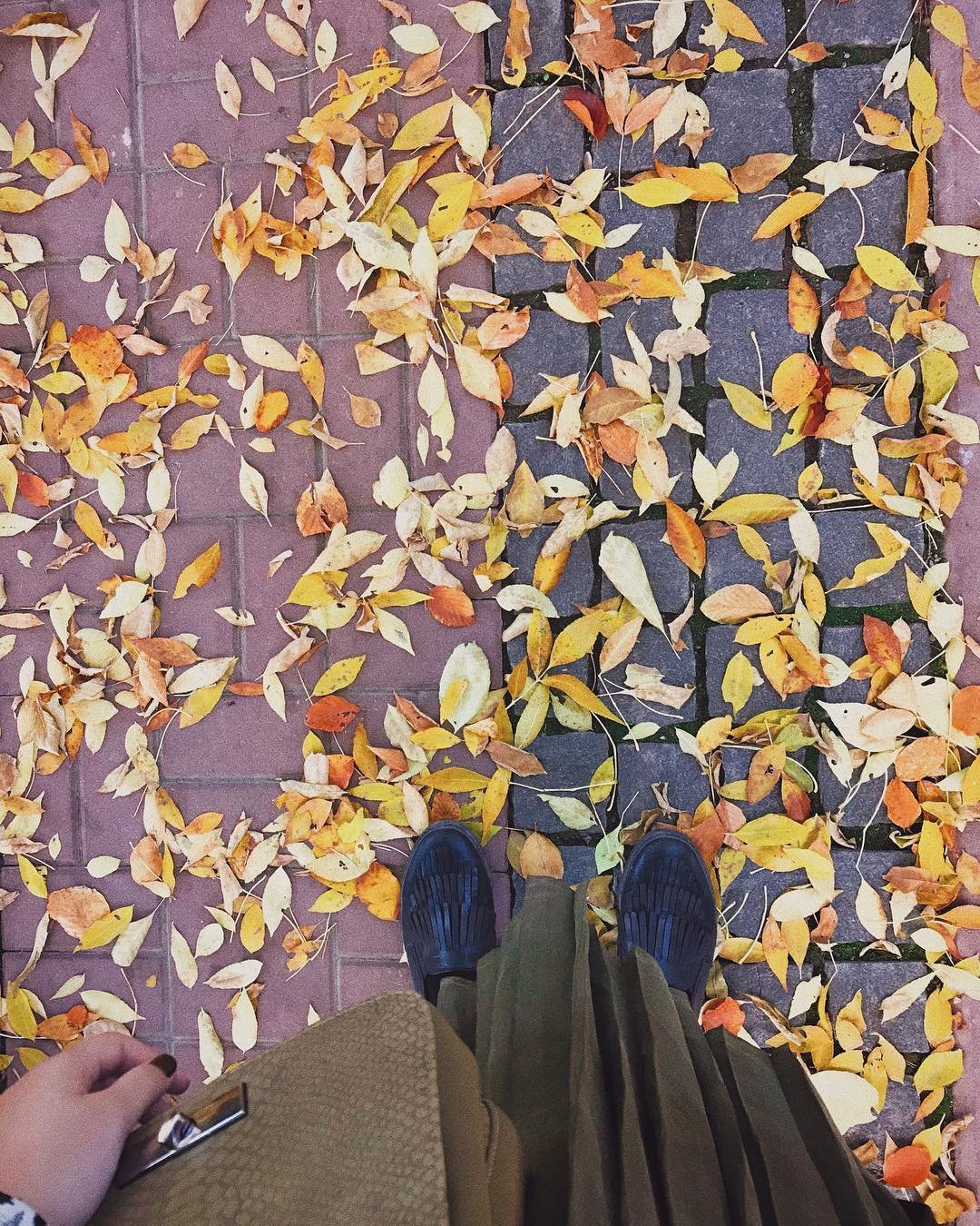 Болотный, янтарный, желтый - эти цвета будто созданы для осенней одежды. Фото: @rekachylia