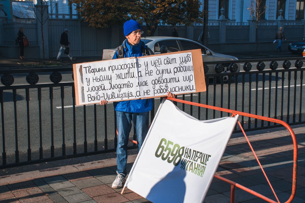 Активисты вооружившись плакатами собрались под стенами Верховной Рады