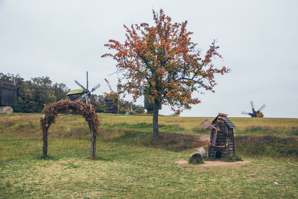 Место для уникальной свадьбы