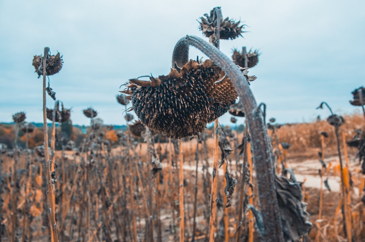 Красота в мелочах ведь!