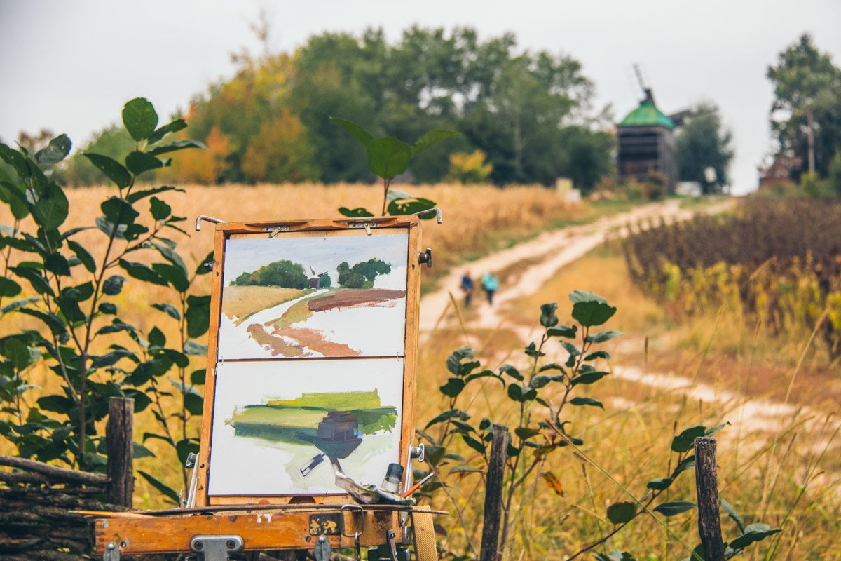 Осенние цвета согревают душу
