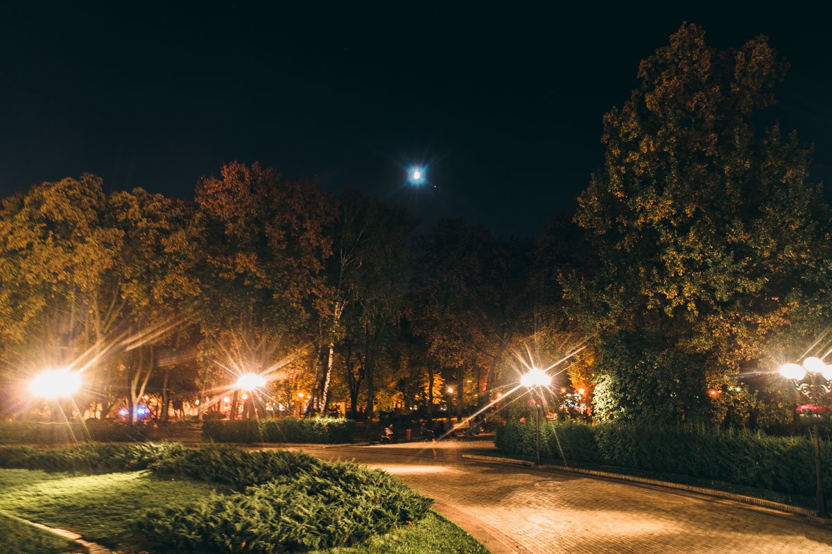 Пустой парк Шевченко ждет первых прохожих Пустой парк Шевченко ждет первых прохожих