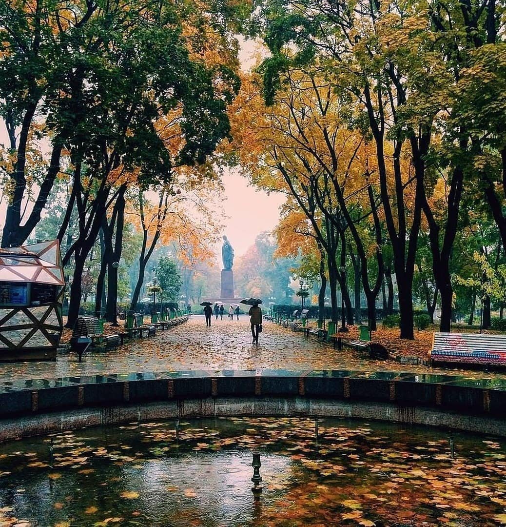 Город в листве. Фото: @staciaantares