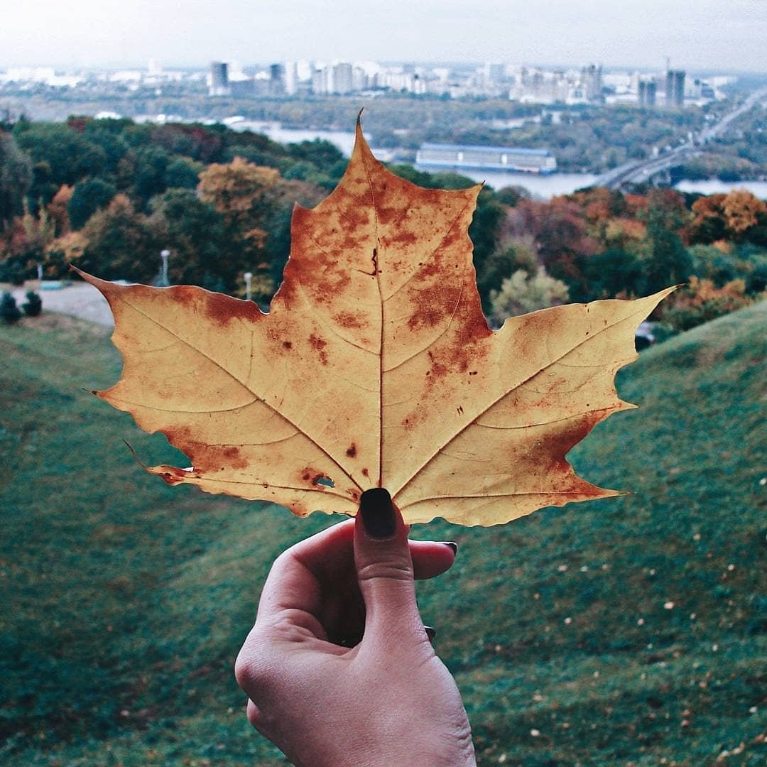 Осенний город на ладони. Фото: @aeternum.maria