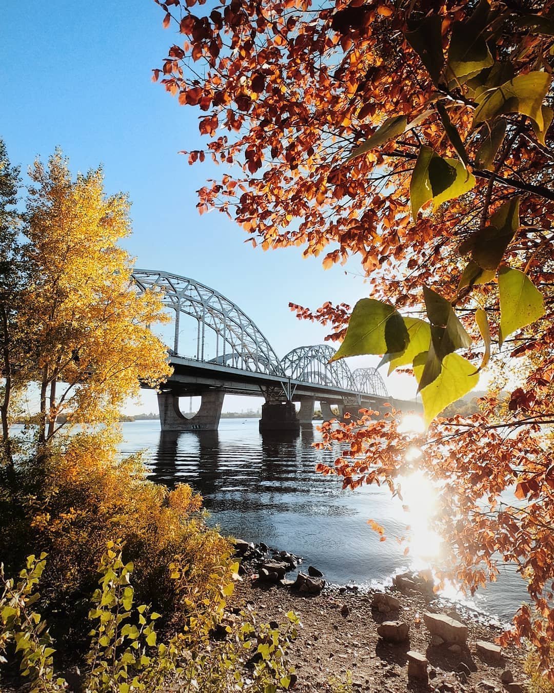 Природа осенью. Фото: @kinzazawu