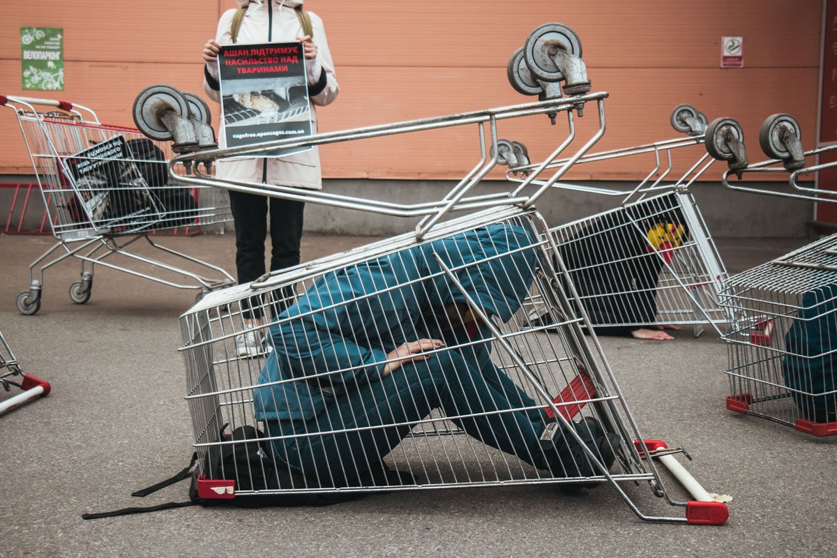 Возле главного офиса "АШАН Украина" прошла зоозащитная акция-перфоманс Возле главного офиса "АШАН Украина" прошла зоозащитная акция-перфоманс