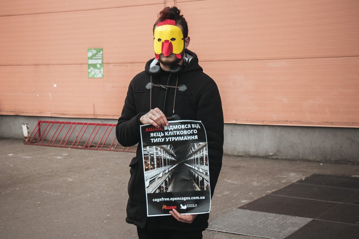 Активисты требовали, чтобы мировая сеть супермаркетов отказалась от неэтического способа выращивания куриных яиц Активисты требовали, чтобы мировая сеть супермаркетов отказалась от неэтического способа выращивания куриных яиц