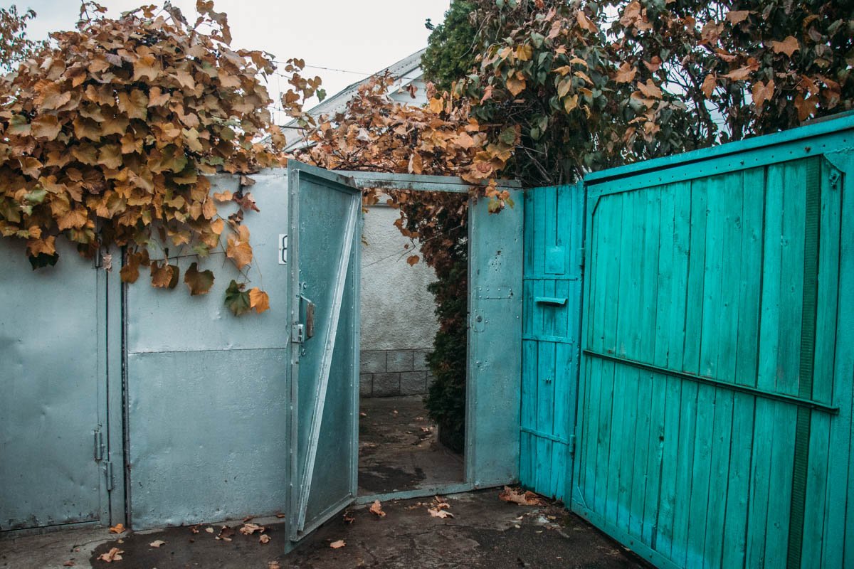 В доме жила парализованная женщина В доме жила парализованная женщина