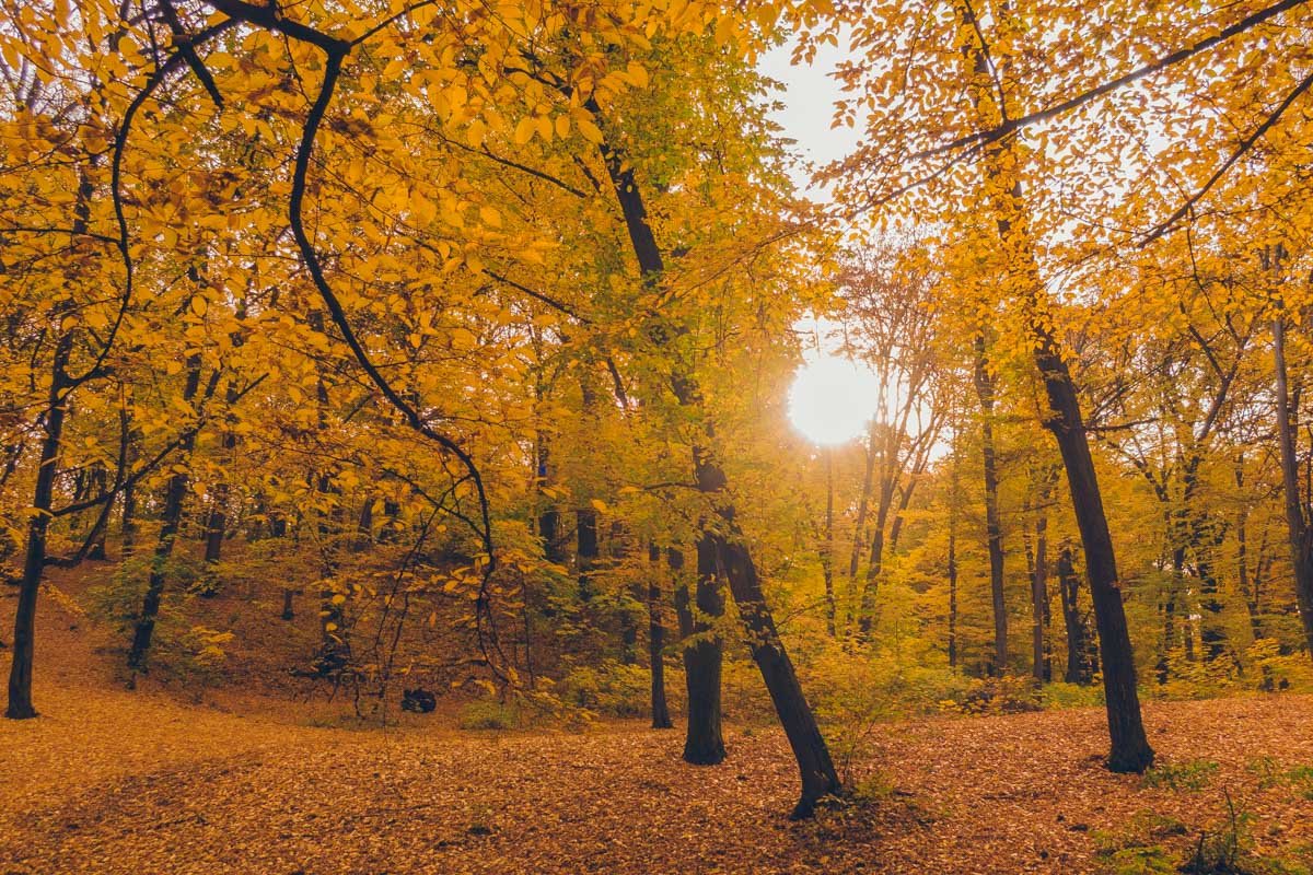 Осенью здесь невероятно уютно