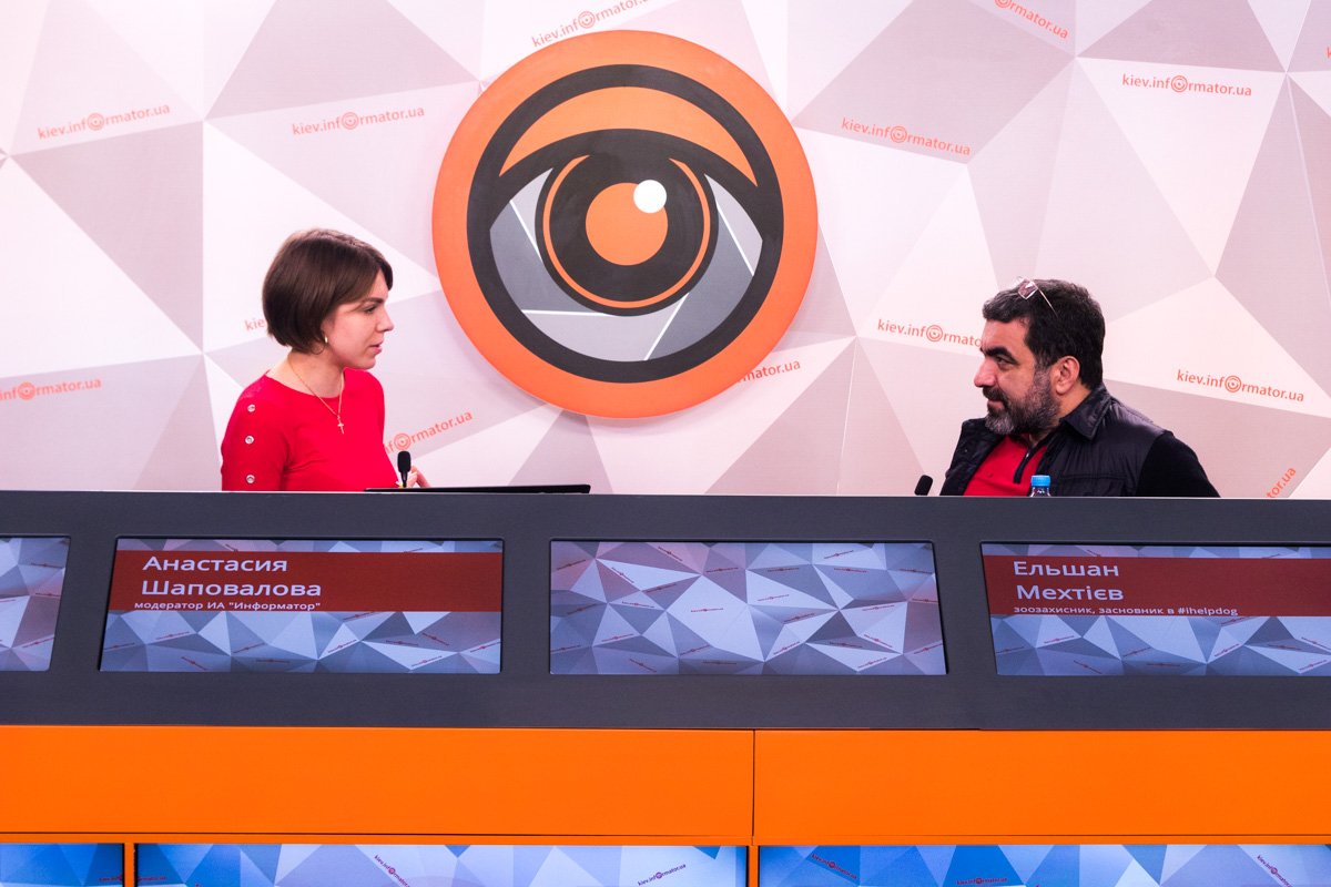 Полиция для животных ищет небезразличных людей Полиция для животных ищет небезразличных людей