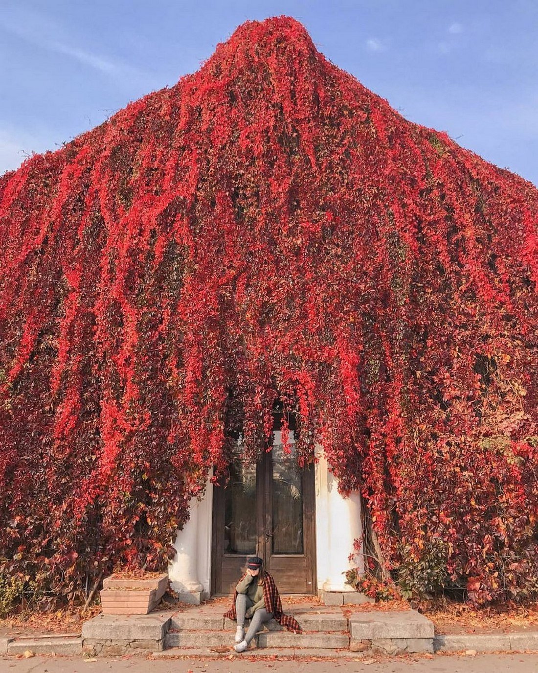 Будто фотозона на ВДНГ. Фото: @lina.cherry14