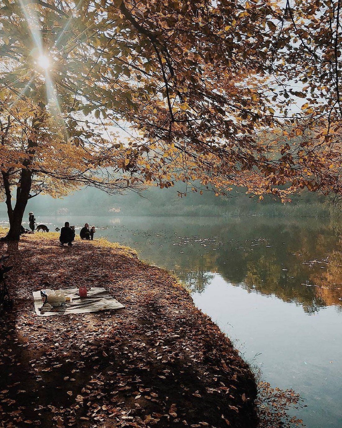 Последние теплые деньки в Голосеевском парке. Фото: @masha_nekrasova