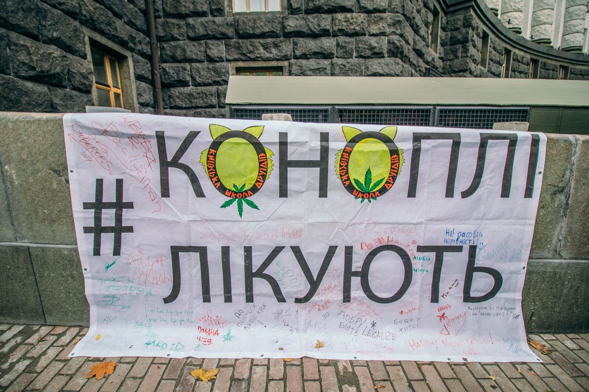 Конопля имеет лечебные свойства, которые помогают при лечении рака и других болезней Конопля имеет лечебные свойства, которые помогают при лечении рака и других болезней