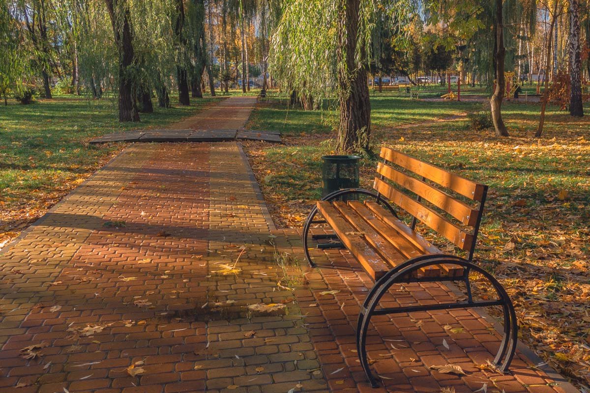 В парке поставили лавочки и урны В парке поставили лавочки и урны