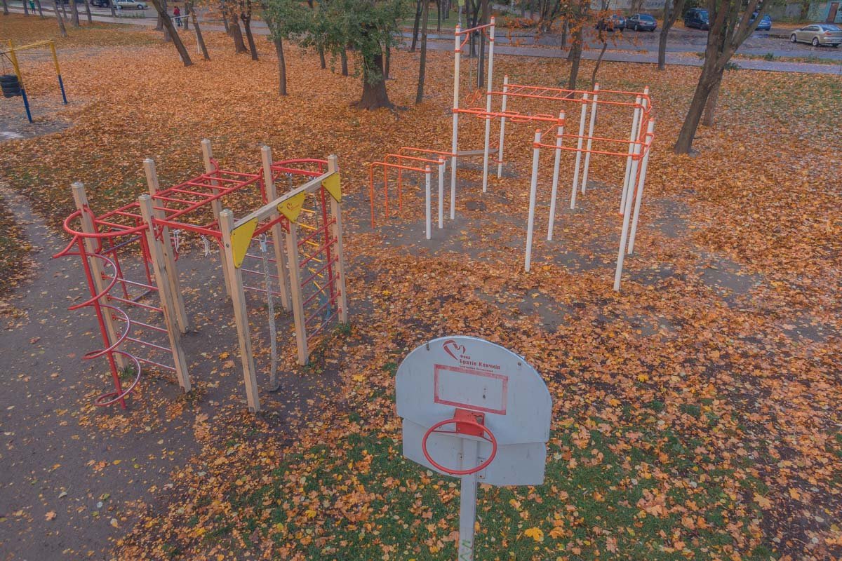 На зарядку по порядку приходи На зарядку по порядку приходи