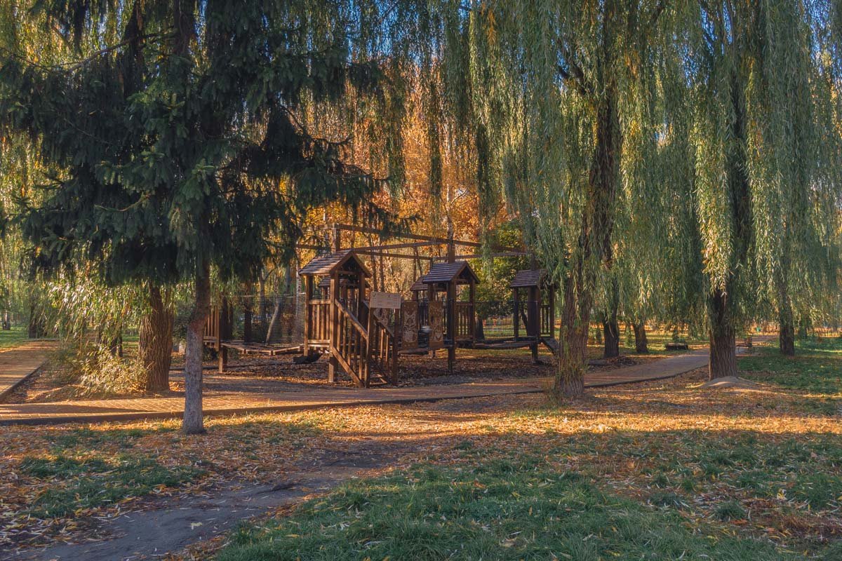 Детский веревочный парк ждет своих гостей Детский веревочный парк ждет своих гостей