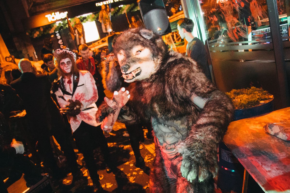 В Сейфе были рады не только обезьянам