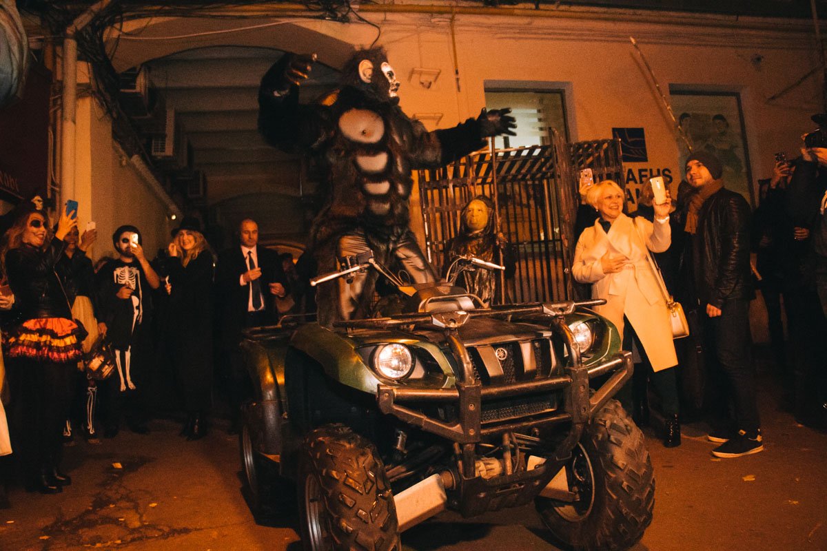 Некоторые обезьяны умеют водить