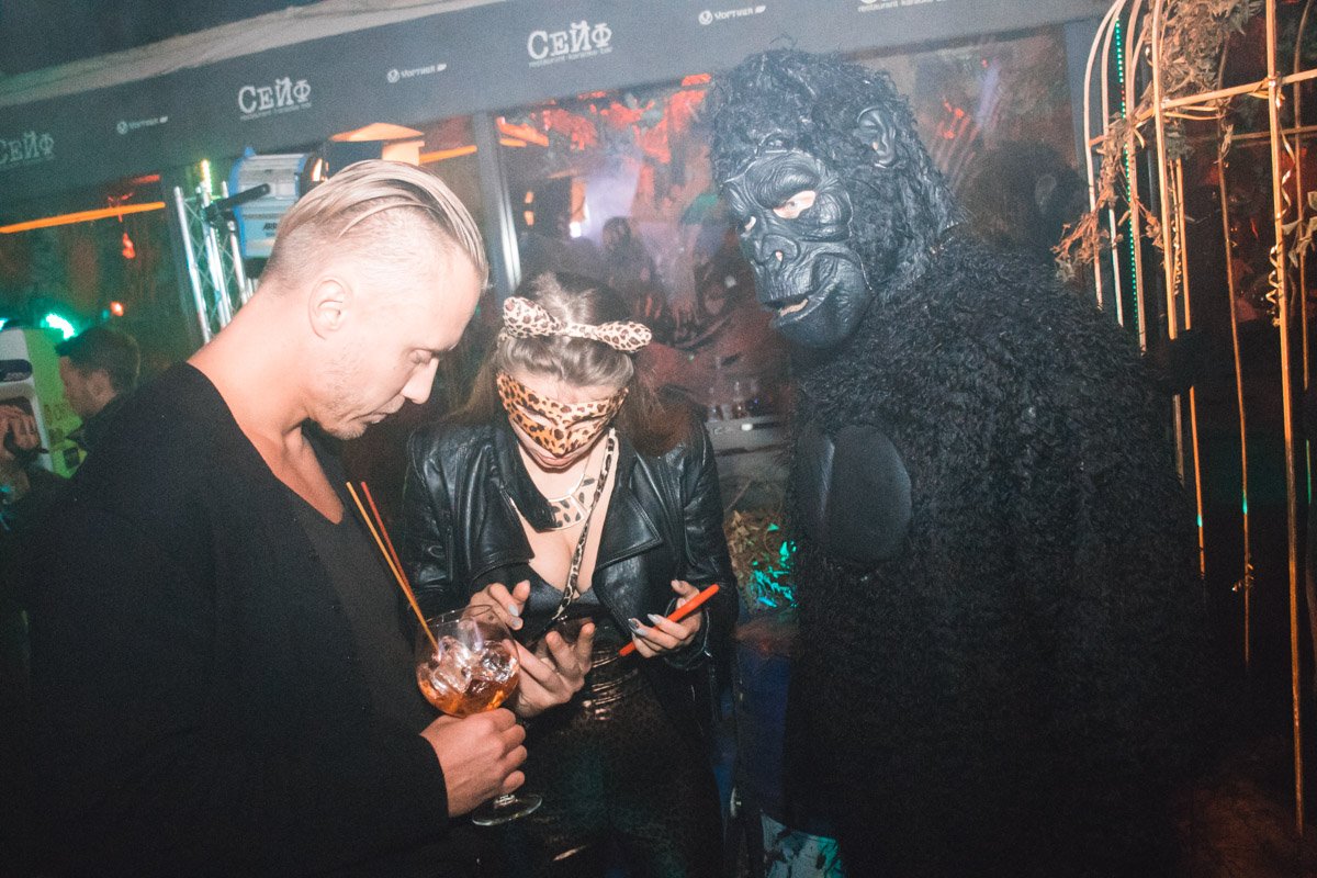 Найти общий язык с обезьянами помог бокальчик золотистого