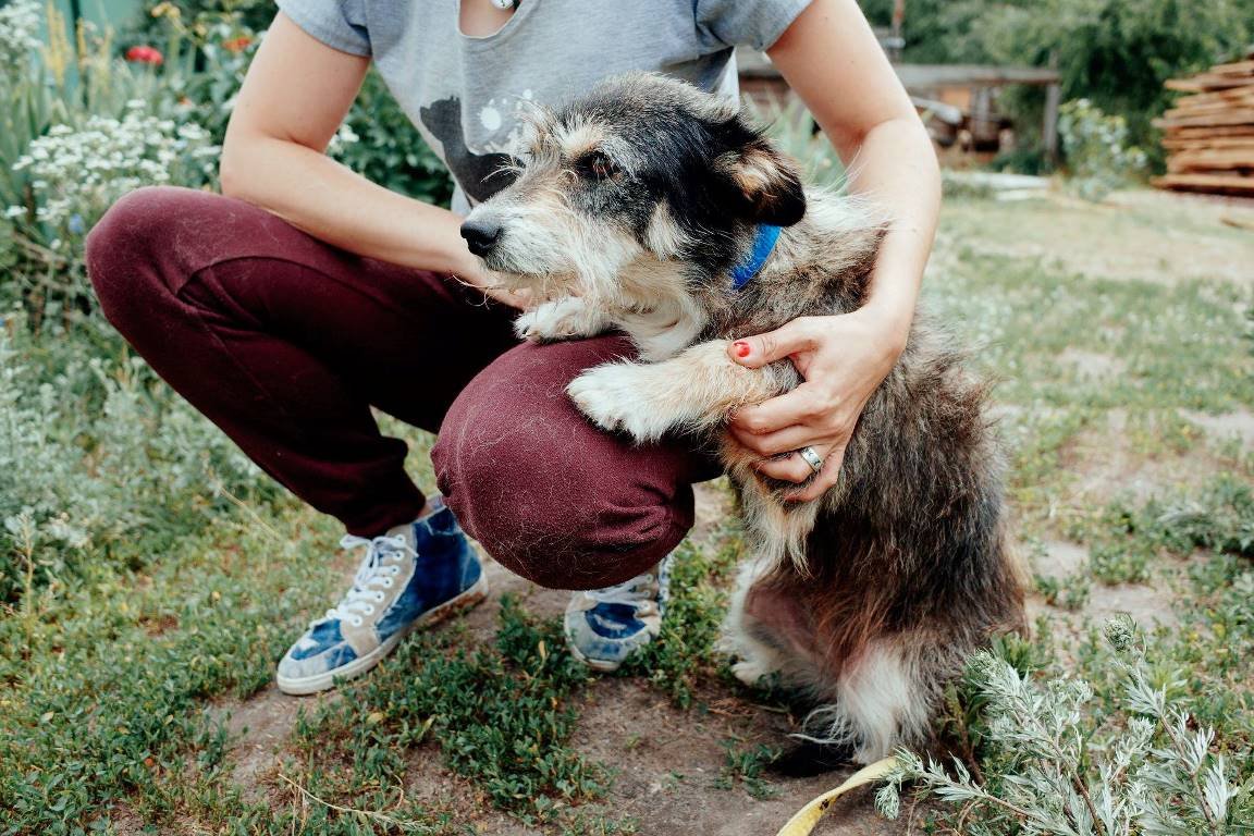 В собачке очень много нерастраченной любви к человечеству