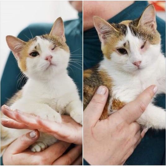 Подарите Гердочке свою любовь и заботу