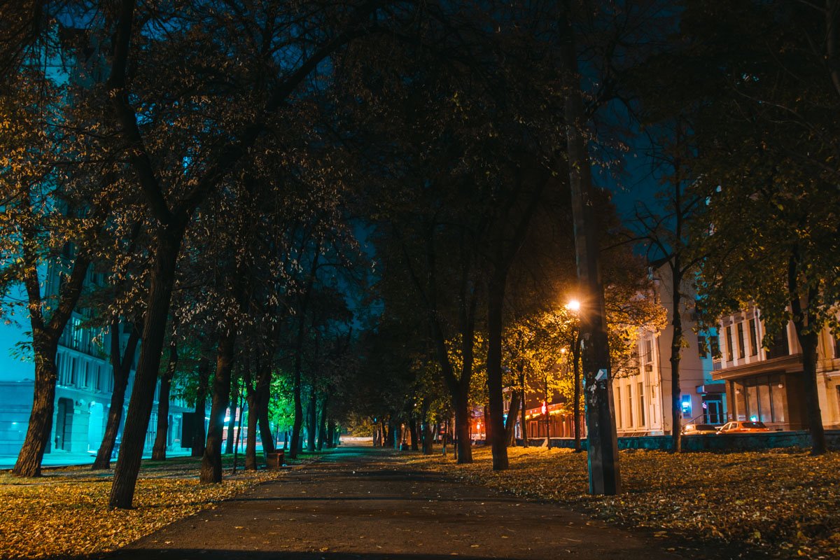 Все окутано безмолвной тишиной Все окутано безмолвной тишиной