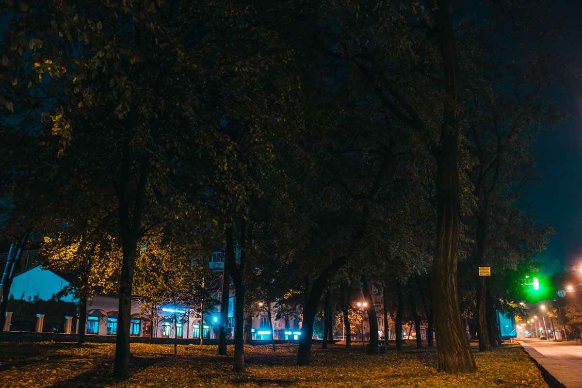 В ночных раздумьях город замирает В ночных раздумьях город замирает