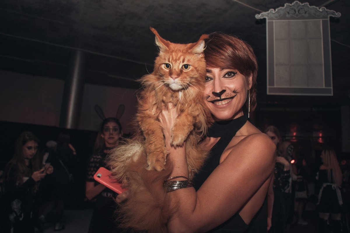 Бегемот, ты?!