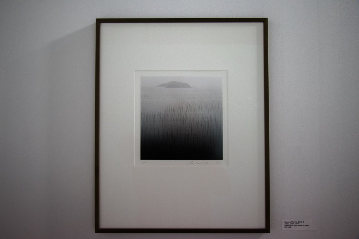 В Киеве проходит международная выставка фотографий