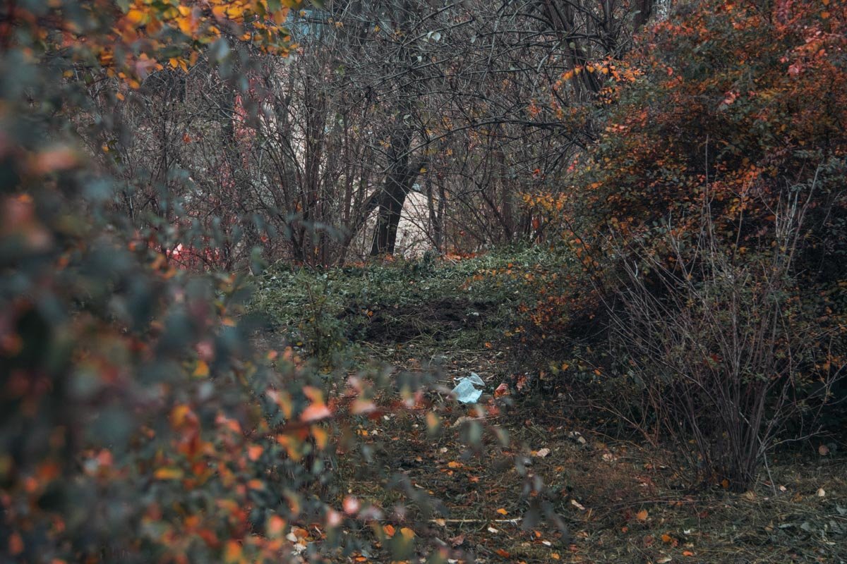 Женщина вызвала на место происшествия полицию