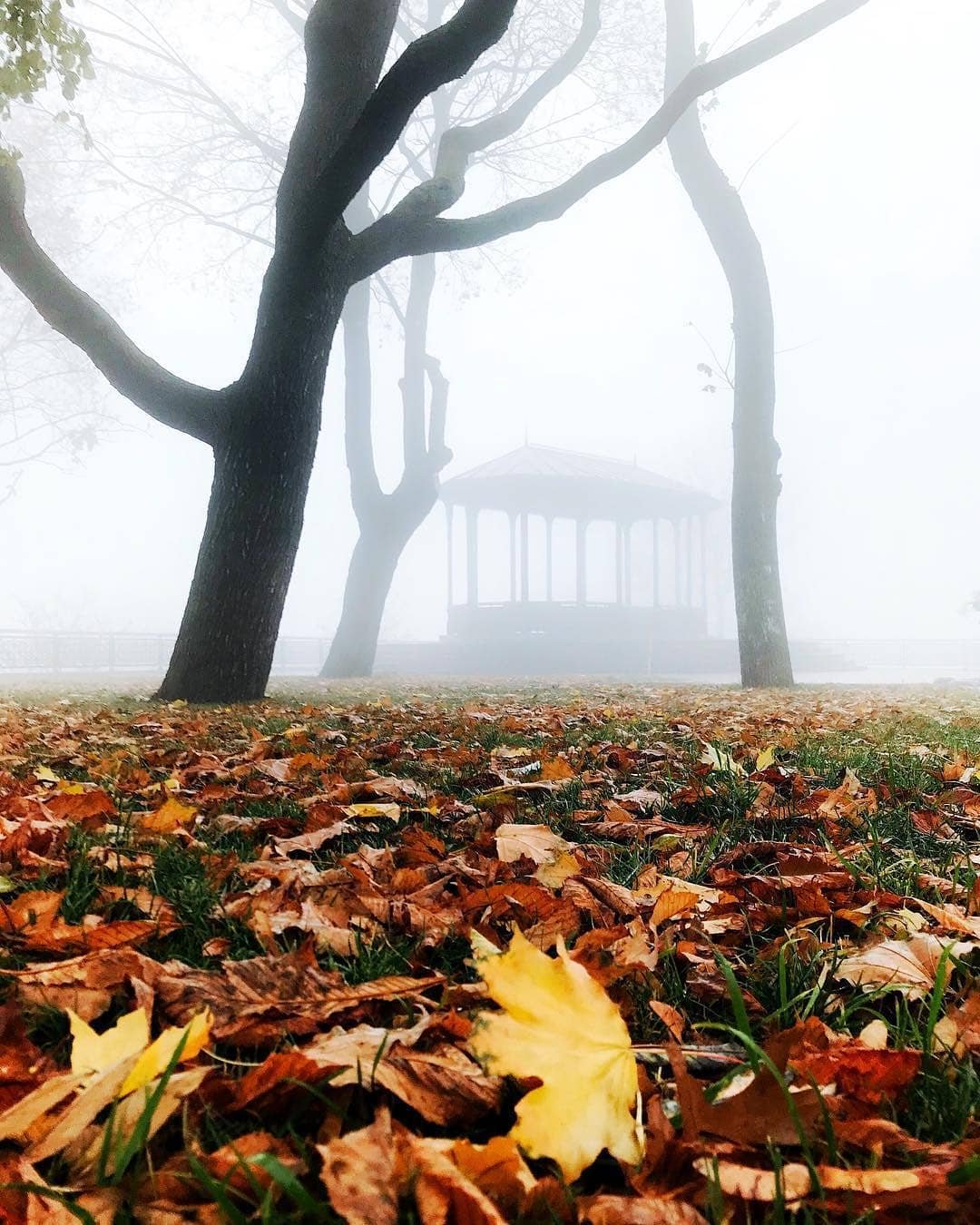 Столицу окутал загадочный туман. Фото: @werter