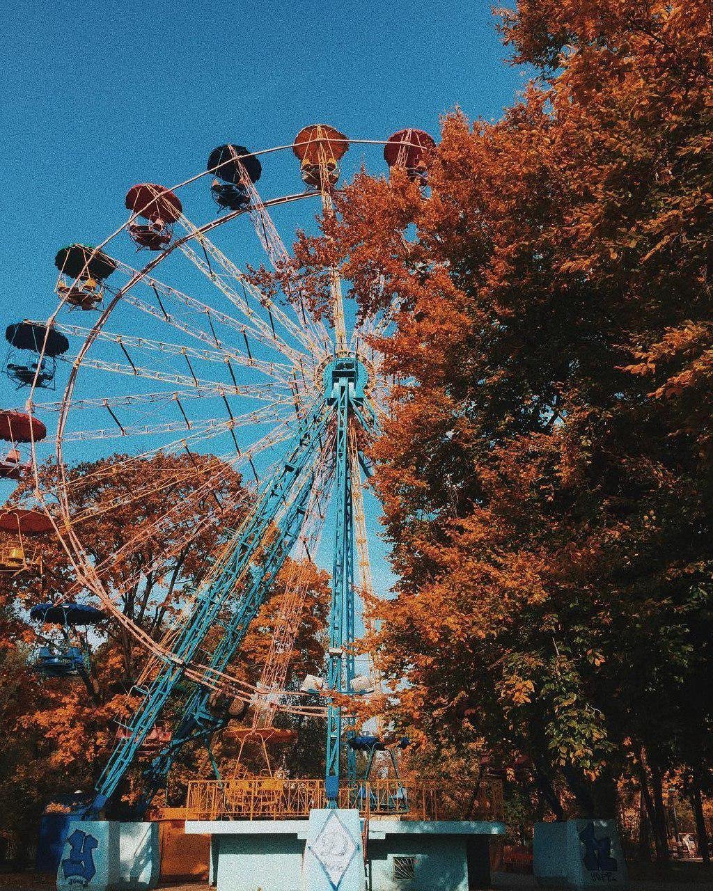 С появлением колеса обозрения на Подоле, многие совсем забыли о не менее красочной достопримечательности в парке Победы. Фото: @under_fern