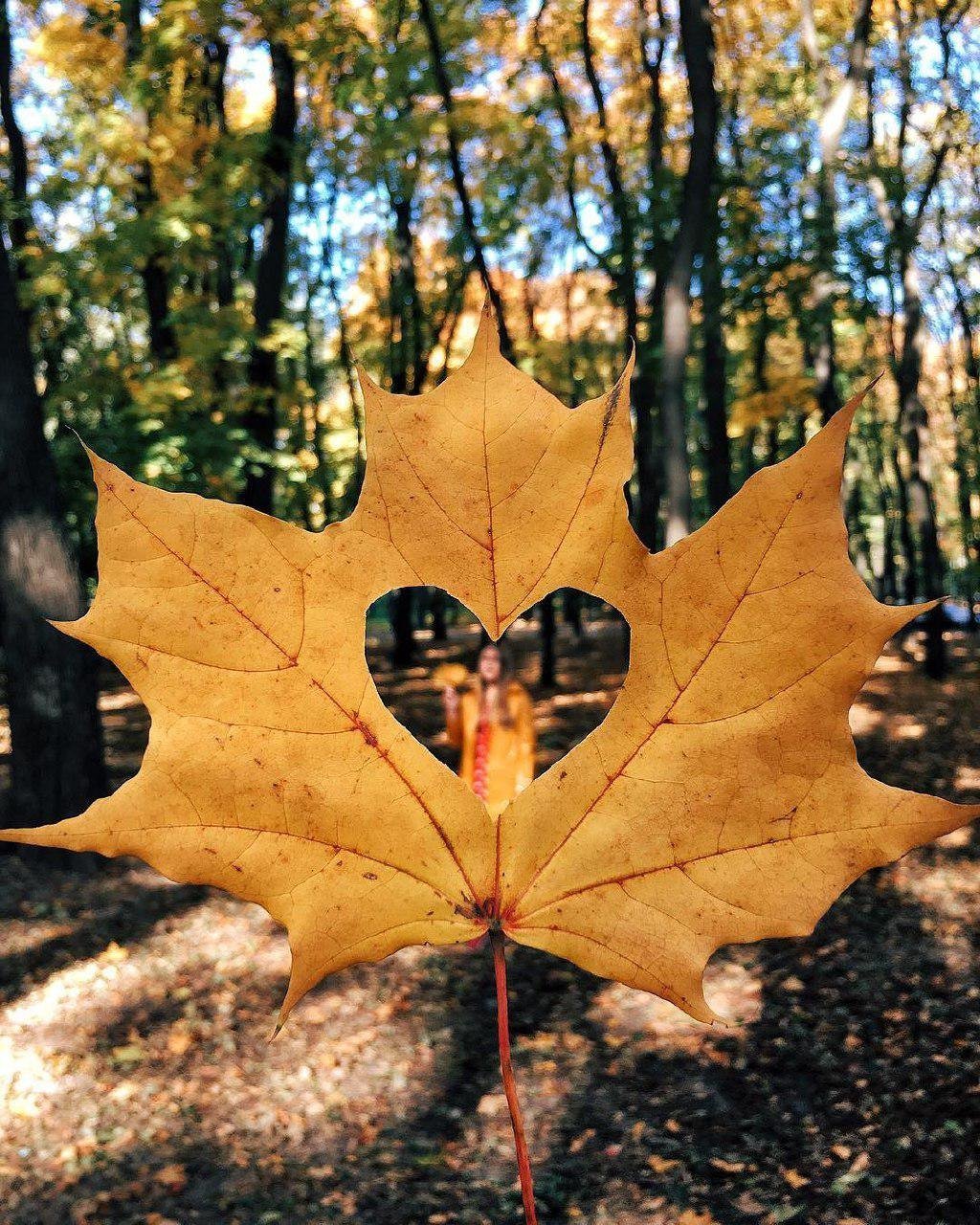 Для кого-то осень - это любовь. Фото: @i.akhvatkina