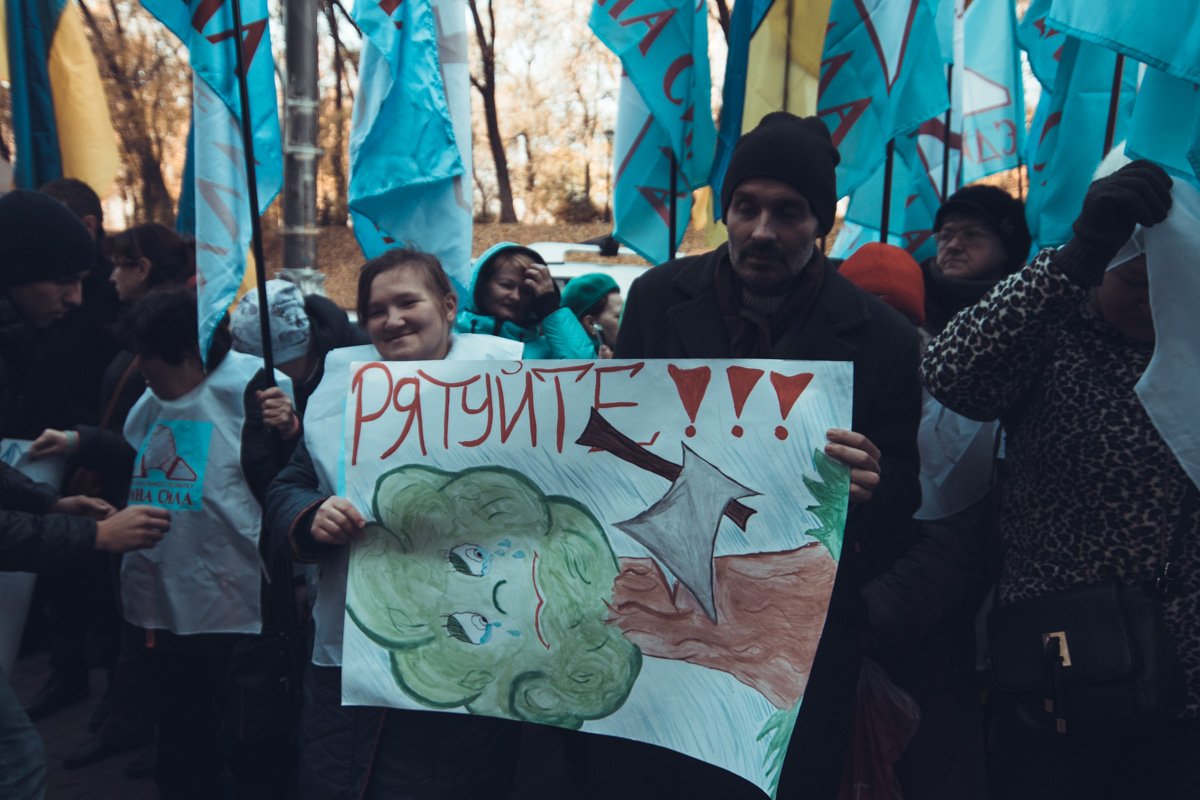 Под видом санитарных мероприятий, злоумышленники рубят лес в промышленных целях