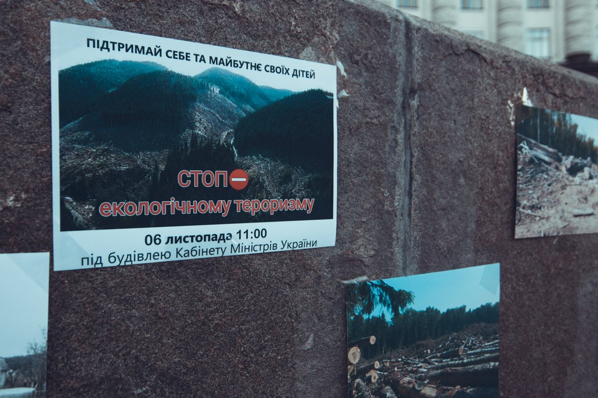 Фотографии противоправной вырубки леса