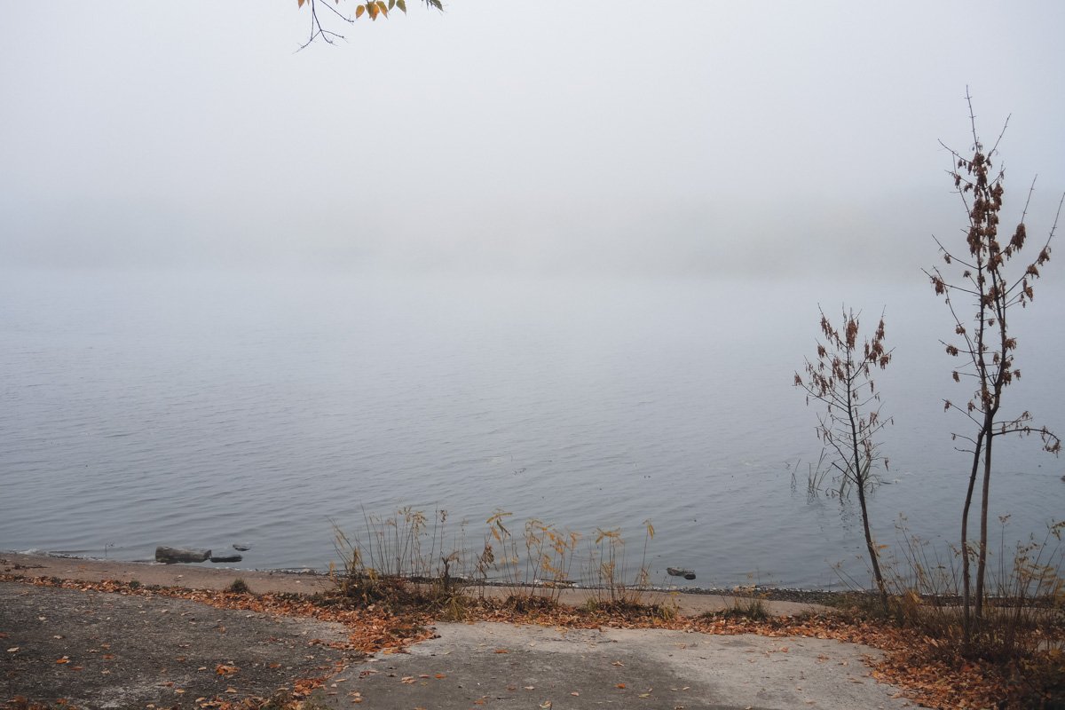 На прогулке атмосферные фото вам обеспечены! На прогулке атмосферные фото вам обеспечены!