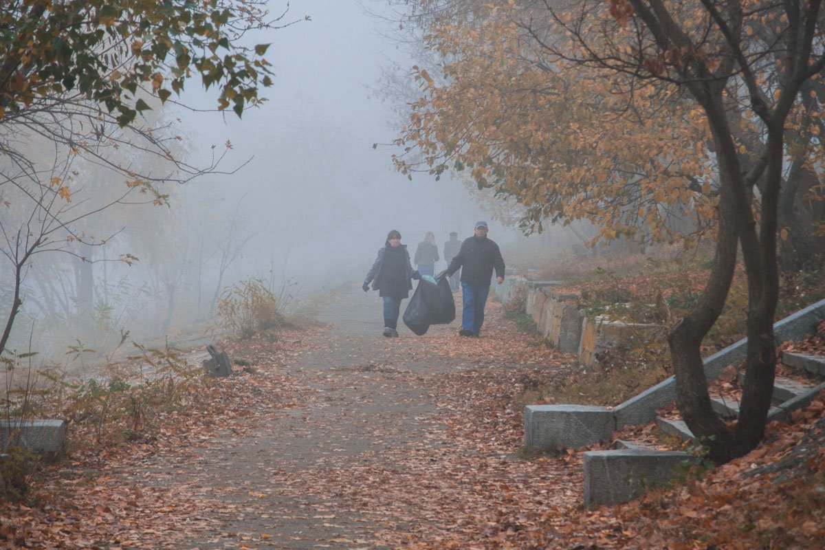 Осень в самом разгаре Осень в самом разгаре