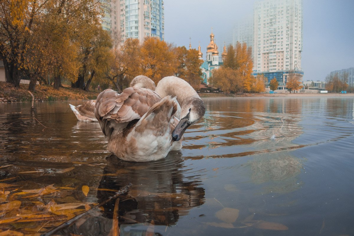 Местные жители не могут нарадоваться новым гостям и считают это хорошей приметой Местные жители не могут нарадоваться новым гостям и считают это хорошей приметой