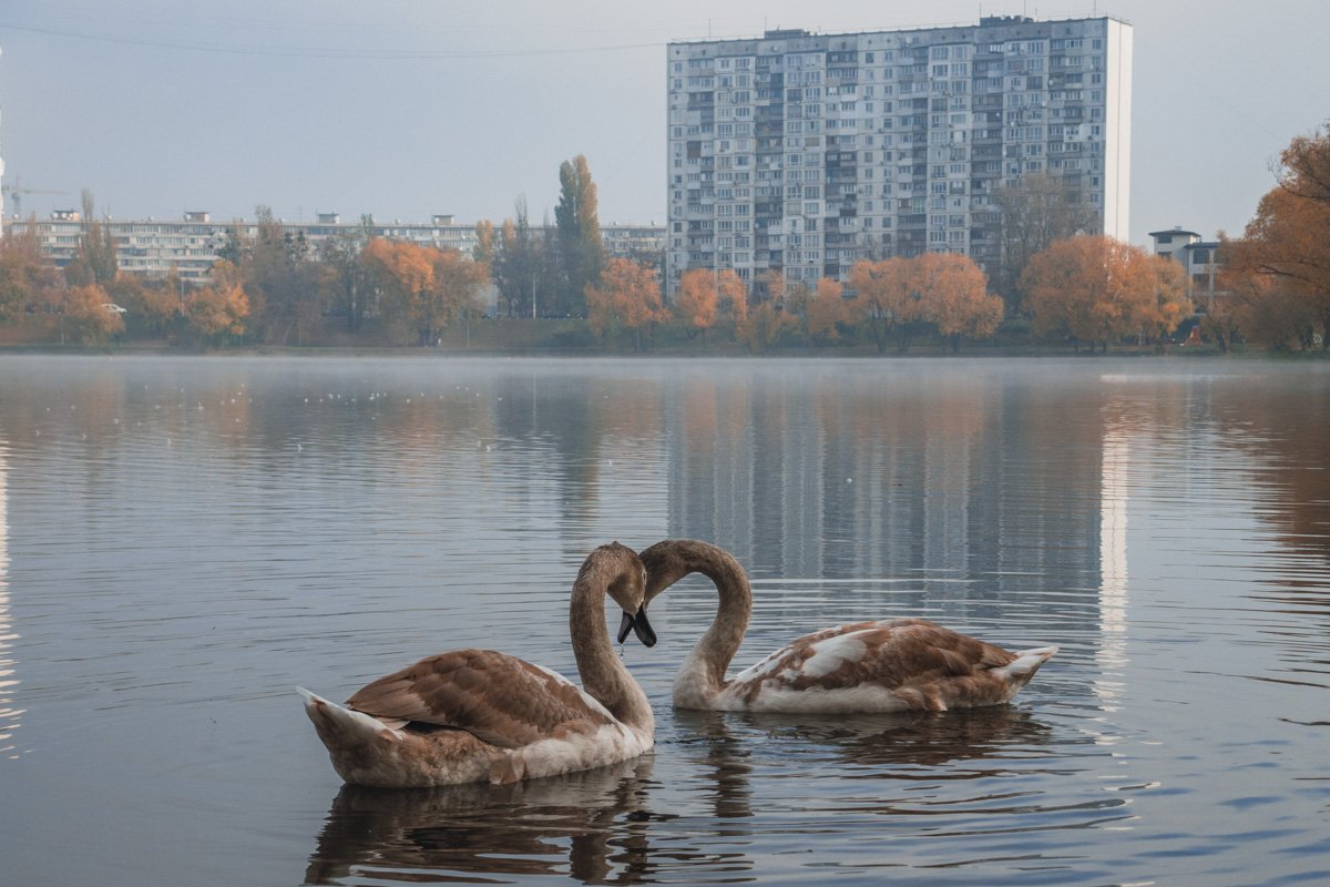 Любовь повсюду! Вы тоже ведь видите сердечко? Любовь повсюду! Вы тоже ведь видите сердечко?