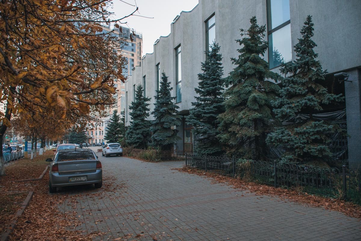 По территории насажены ели По территории насажены ели