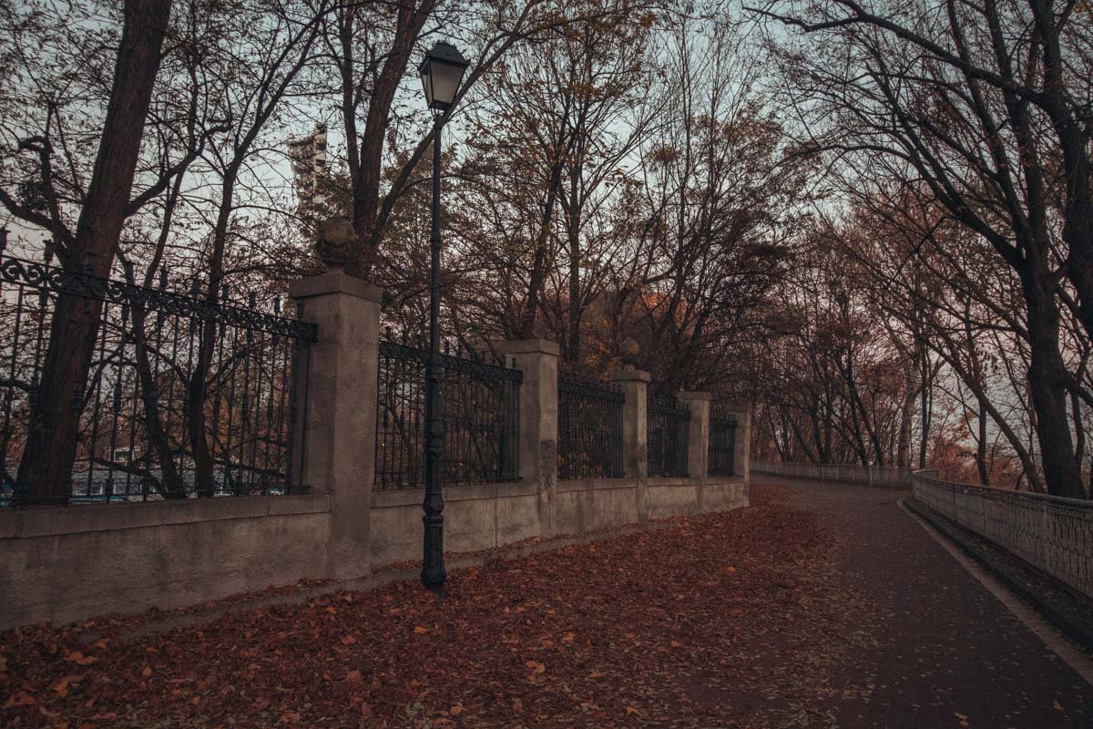 Аллея ведет в красновато-сизую даль Аллея ведет в красновато-сизую даль