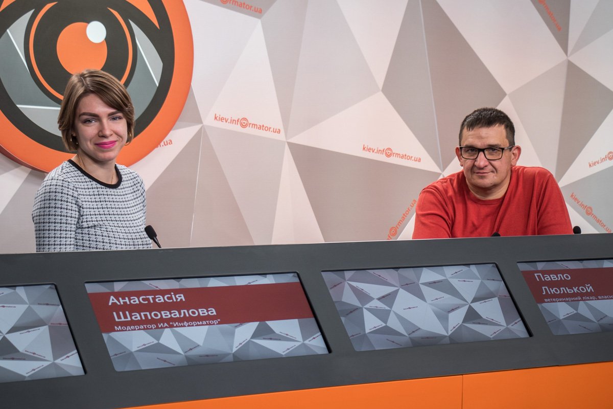 Стерилизация и кастрация благотворно влияют на продолжительность жизни домашних животных, уверен ветврач