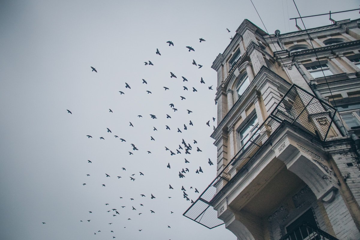 Остановись, мгновение!